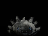 Black Axolotl Soft Stuffed Toy