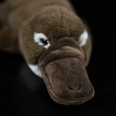 Duckbill Platypus Stuffed Soft Toy