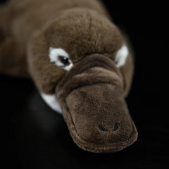 Duckbill Platypus Stuffed Soft Toy