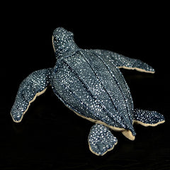 Tropical Sea Turtle Soft Plush Toy