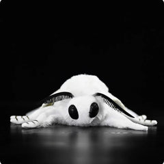 Webworm Moth Soft Stuffed Plush Toy