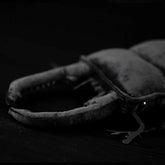 Stag Beetle Soft Stuffed Plush Toy