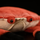 Red Crab Soft Stuffed Plush Toy
