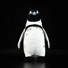 African Penguin Soft Stuffed Plush Toy