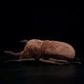 Beetle Soft Stuffed Plush Toy