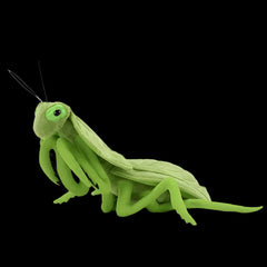 Soft Stuffed Plush Praying Mantis Toy