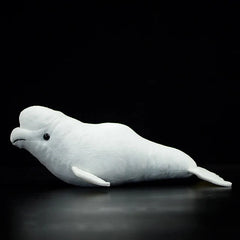 White Whale Soft Stuffed Plush Toy