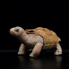Soft Stuffed Tortoise Plush Toy