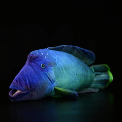 Soft Stuffed Plush Wrasse Toy