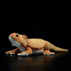 Desert Lizard Soft Stuffed Plush Toy