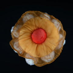 Fried Egg Jellyfish Plush Toy