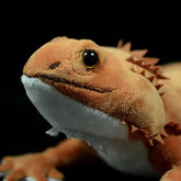 Desert Lizard Soft Stuffed Plush Toy