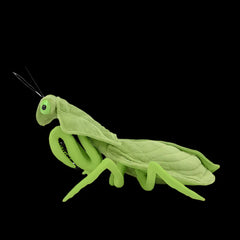 Soft Stuffed Plush Praying Mantis Toy