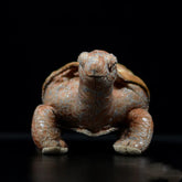 Soft Stuffed Tortoise Plush Toy