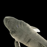 Whale Soft Stuffed Plush Toy