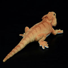 Desert Lizard Soft Stuffed Plush Toy