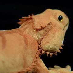 Desert Lizard Soft Stuffed Plush Toy