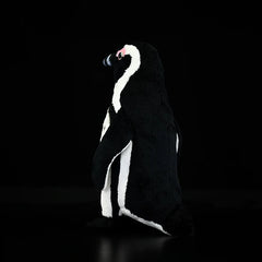 African Penguin Soft Stuffed Plush Toy