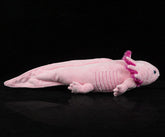 Pink Axolotl Stuffed Plush Toy