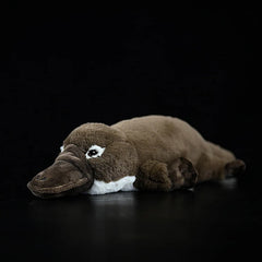 Duckbill Platypus Stuffed Soft Toy
