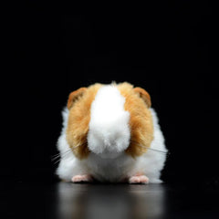 Soft Stuffed Guinea Pig Plush Toy