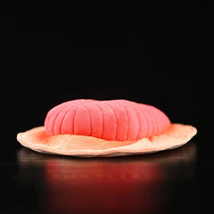 Fossil Soft Stuffed Plush Toy