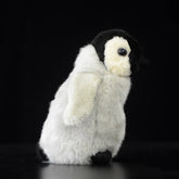 Baby Penguin Soft Plush Toy