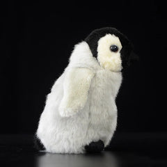 Baby Penguin Soft Plush Toy