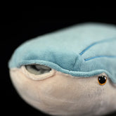 Prehistoric Fish Soft Stuffed Plush Toy