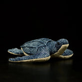 Tropical Sea Turtle Soft Plush Toy