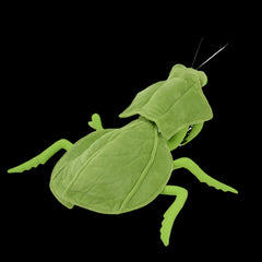 Soft Stuffed Plush Praying Mantis Toy