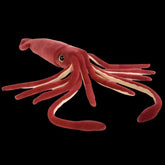 Large Squid Soft Stuffed Plush Toy