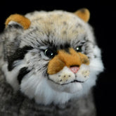 Wildcat Soft Stuffed Plush Toy