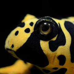 Poison Frog Soft Plush Toy
