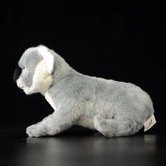 Soft Stuffed Koala Plush Toy