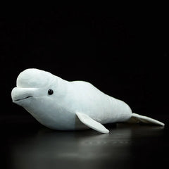 White Whale Soft Stuffed Plush Toy