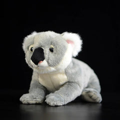 Soft Stuffed Koala Plush Toy