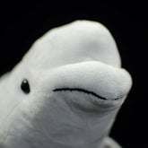 White Whale Soft Stuffed Plush Toy