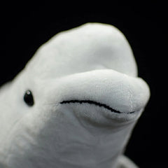 White Whale Soft Stuffed Plush Toy