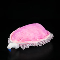 Prehistoric Bilaterian Soft Stuffed Plush Toy