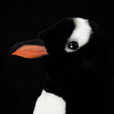 Penguin Soft Stuffed Plush Toy