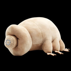 Water Bear Soft Stuffed Plush Toy