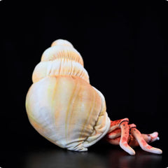 Soft Stuffed Hermit Crab Plush Toy