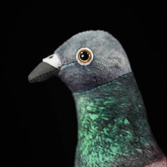 Soft Stuffed Pigeon Plush Toy