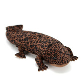 Chinese Giant Salamander Soft Plush Toy