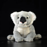 Soft Stuffed Koala Plush Toy