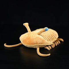 Trilobite Soft Stuffed Plush Toy