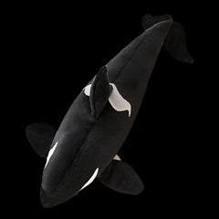 Large Killer Whale Soft Stuffed Plush Toy