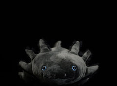 Black Axolotl Soft Stuffed Toy