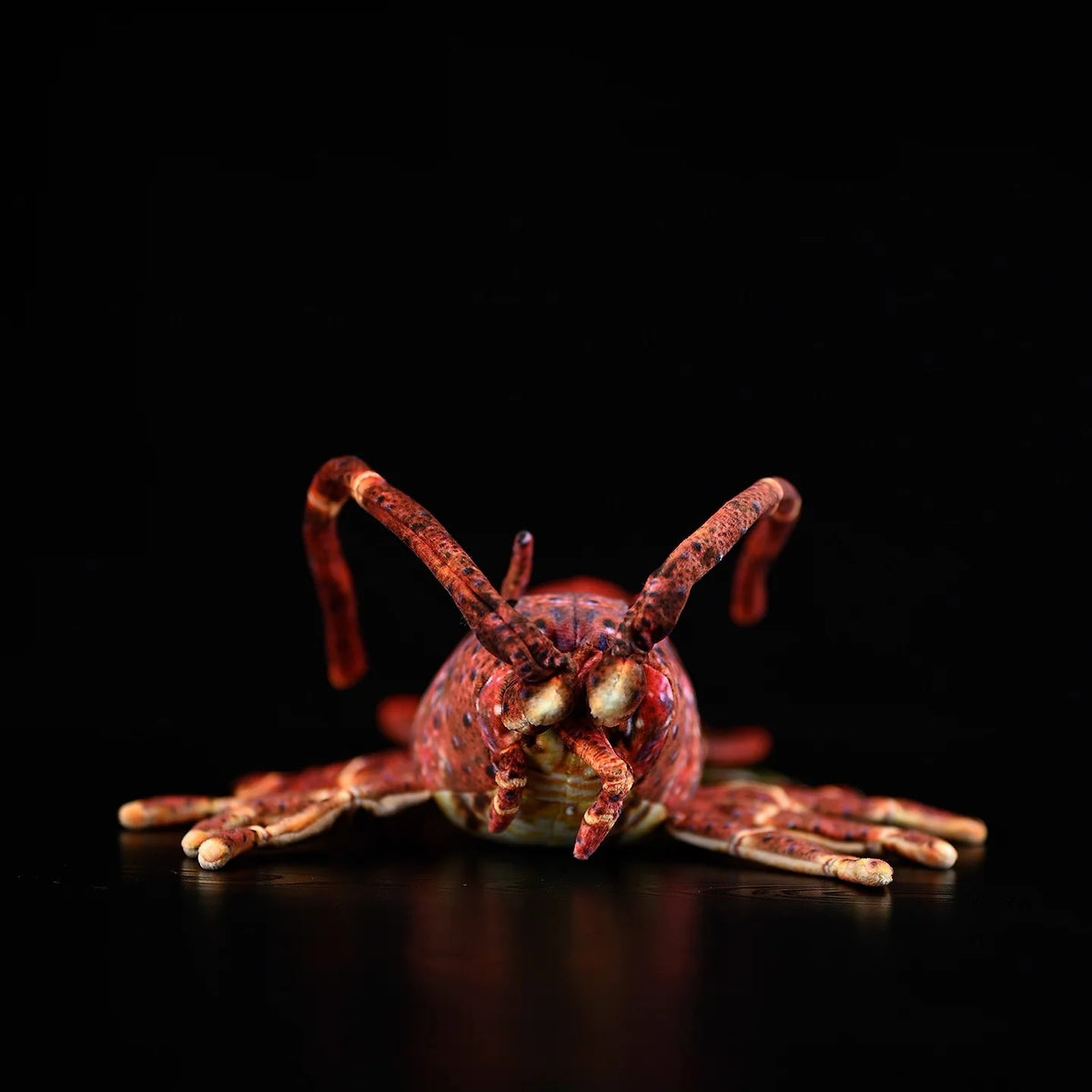 Spiny Lobster Soft Stuffed Plush Toy